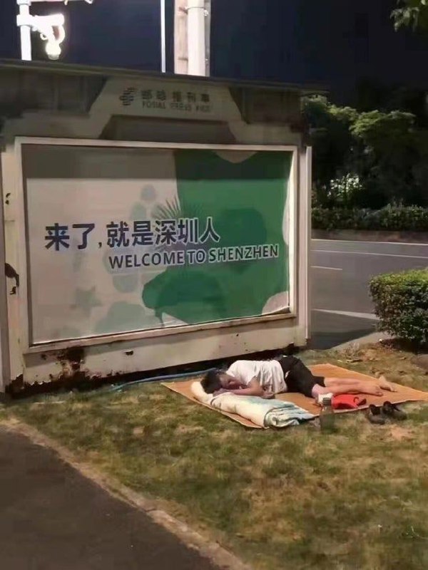 攒了好久的普利策合集这是第一集！#CN普利策#恶意合订By