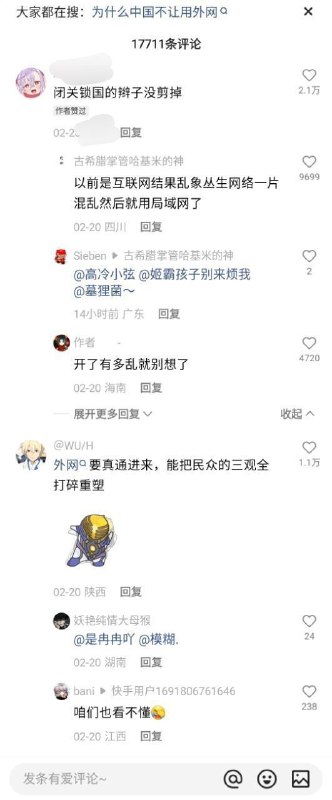 评论区网友们对“外网