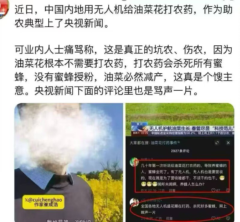 现在日本人在油菜花下毒？现在很多平台都有人信，先前是下毒毒蜜蜂，现在又说灭绝油菜花，并且还说农业部的官员周广生是山田广生，说听出日本囗音，视频评论区也出现要袭击日本人学校的言论，😎 匿名投稿现在日本人在油菜花下毒？现在很多平台都有人信，先前是下毒毒蜜蜂，现在又说灭绝油菜花，并且还说农业部的官员周广生是山田广生，说听出日本囗音，视频评论区也出现要袭击日本人学校的言论，😎 匿名投稿