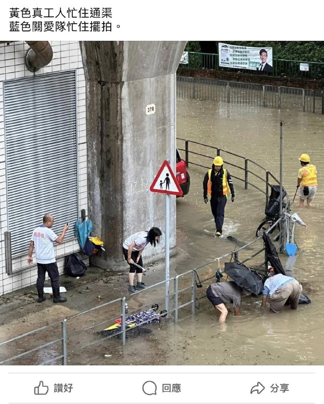 忠诚的废物1穿白鞋铲淤泥2用筲箕捞垃圾34专人摆拍捡垃圾By