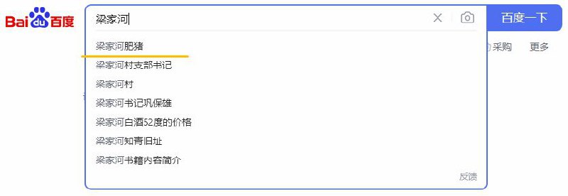 很实用的百度搜索，谢谢李彦宏分享！ #行走的五十万
