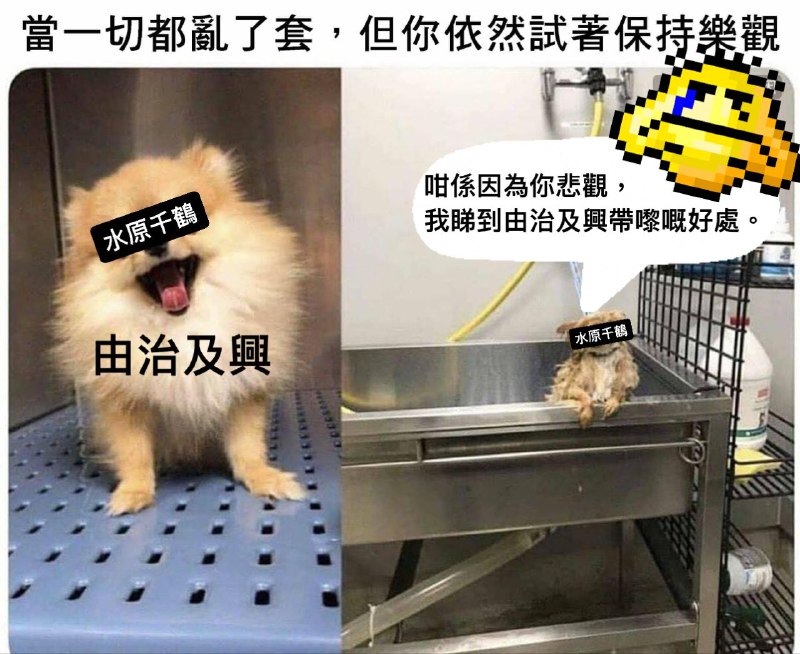 連登很火的5毛謊言國語翻譯