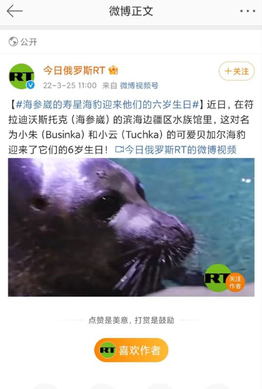 孝死我了😅孝死我了😅