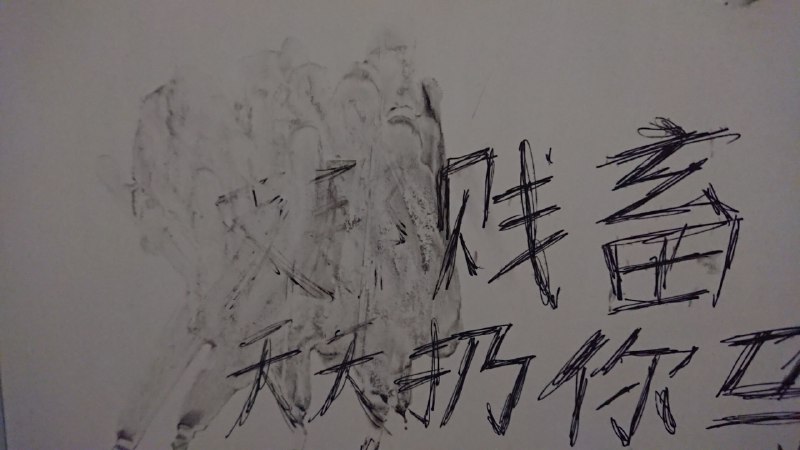 是谁写的#厕所革命投
