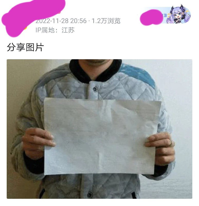 b站唯一发白纸的大up 现已经被删除投稿By