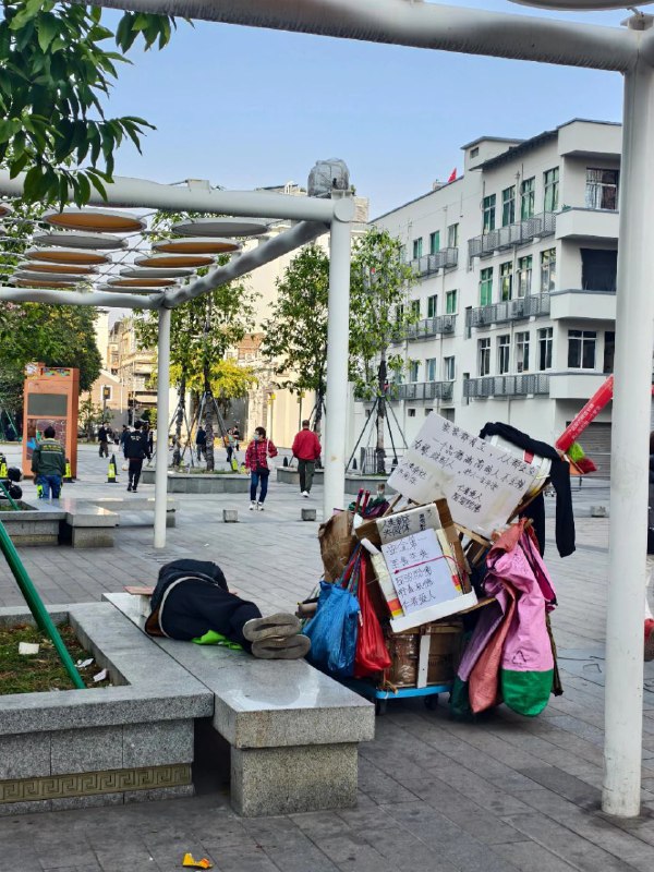 墙内刷到的图，感觉可