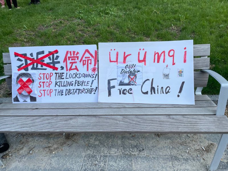 群友投稿，多伦多现场群友投稿，多伦多现场