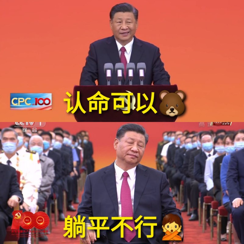 老习中肯🐻！