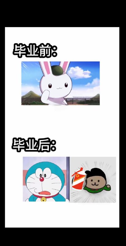 兔友转行了，其实我早就事网左了👤 来自