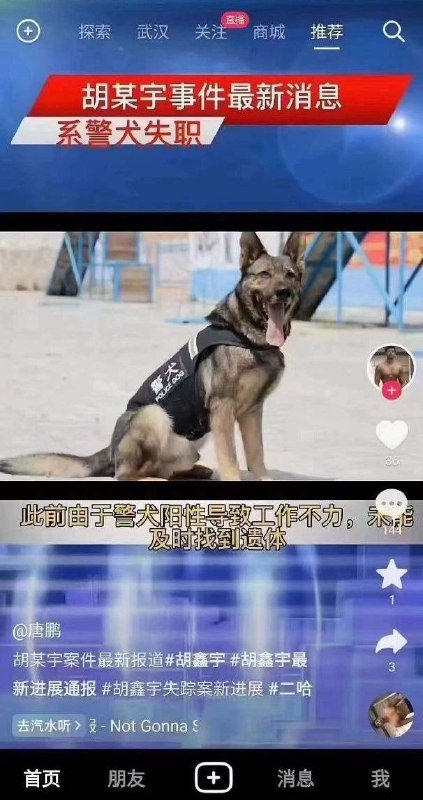 最好说警犬也不是有编制的正式警犬,而是从牧场租来的临时工