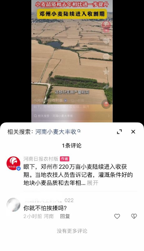 河南干旱，三亩地收不到60斤，官方丧事喜报，称小麦产量品质比去年有提升，网友