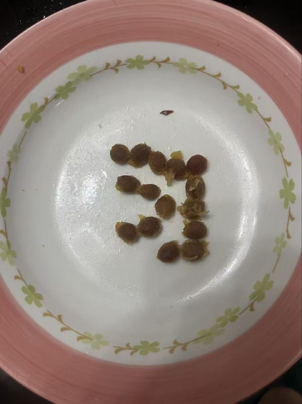 看懂的有福了😏😎 匿名投稿看懂的有福了😏😎 匿名投稿