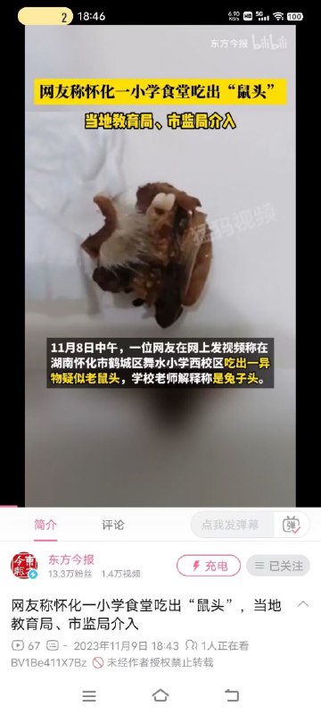 指鼠为兔
