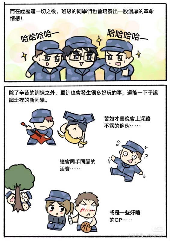 物种多样性鉴赏