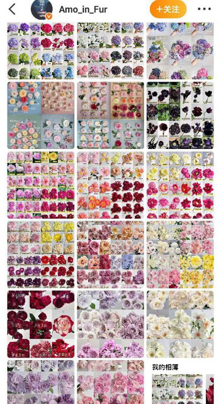 8月20日，微博上一名百万级花卉大V 发帖求助称，因为防疫，称自己耗时多年打造的花园在毫无通知的情况下被清空