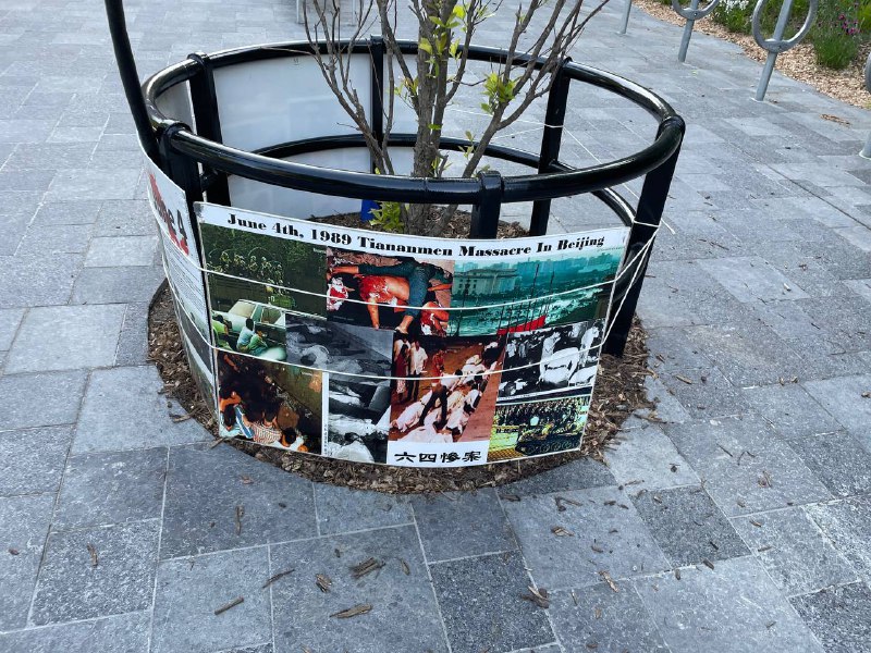 群友投稿，多伦多现场群友投稿，多伦多现场