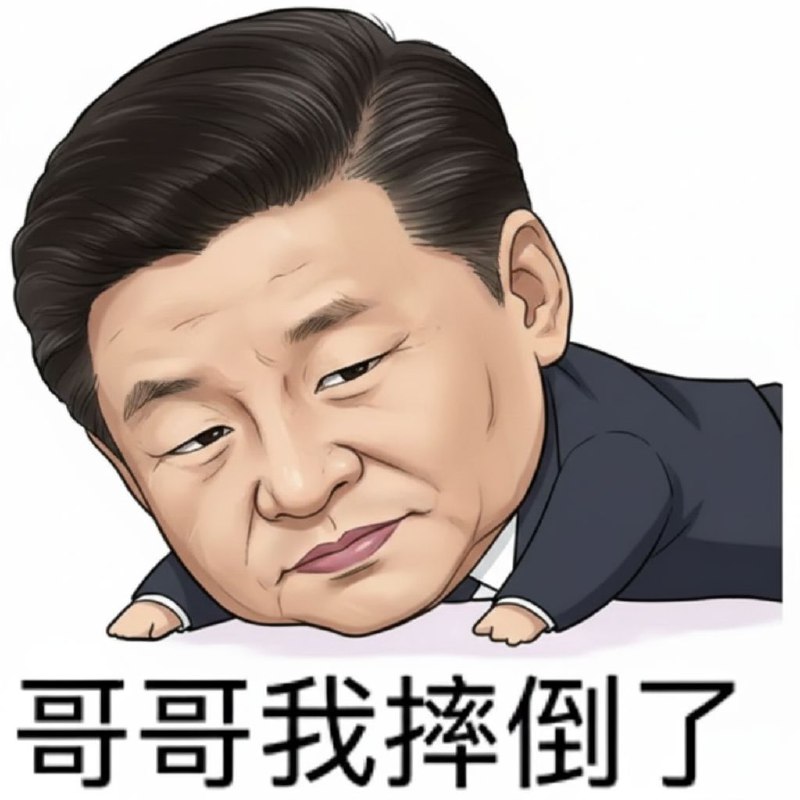 主席摔倒了👤 来自