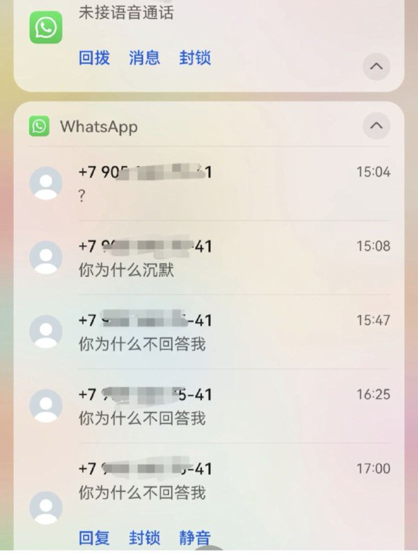 毛子警察