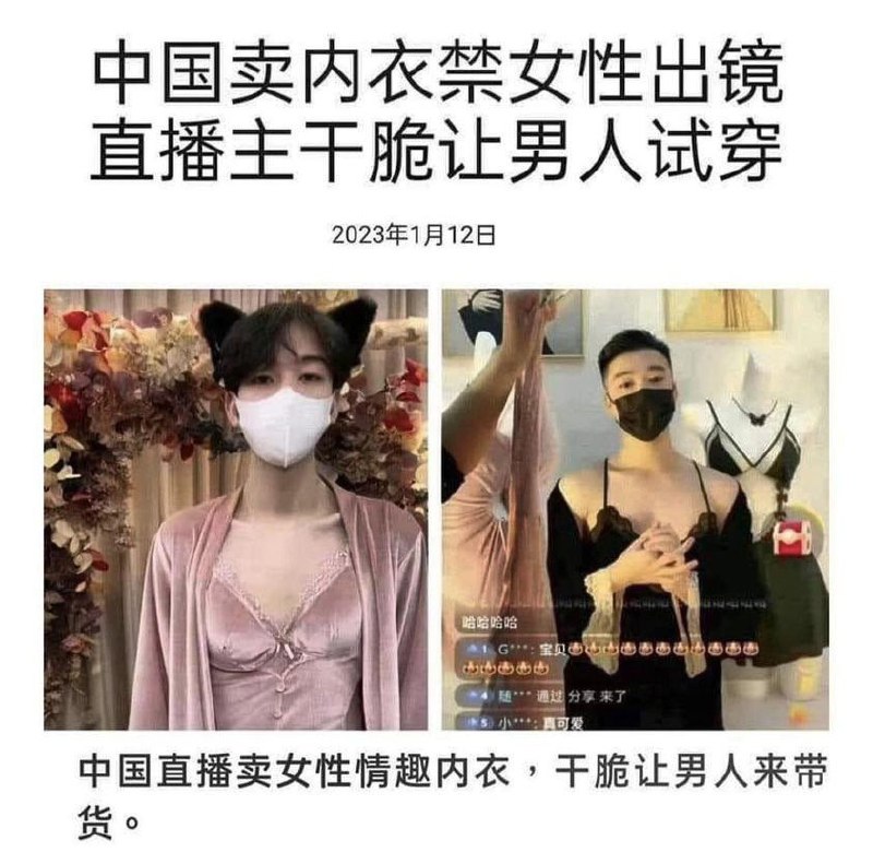 文明古国,礼仪之邦👍投稿By