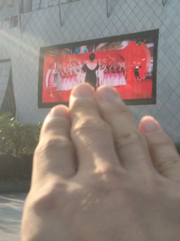 #守护中共长命百岁是14亿人的纳粹礼#Chinazi #赤纳粹 #习特勒