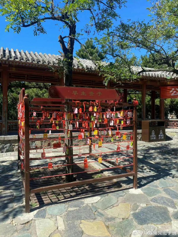 生育率现状投稿By