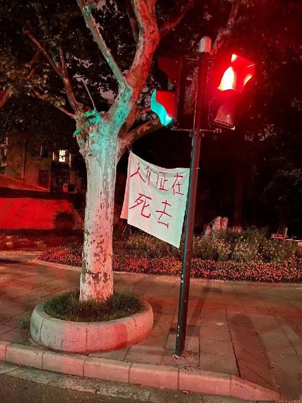 上海的标语（为了保护博主隐私，已将水印进行消除）By