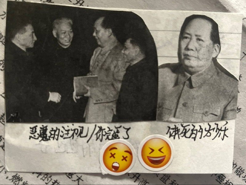 毛头秃🤣😎 匿名