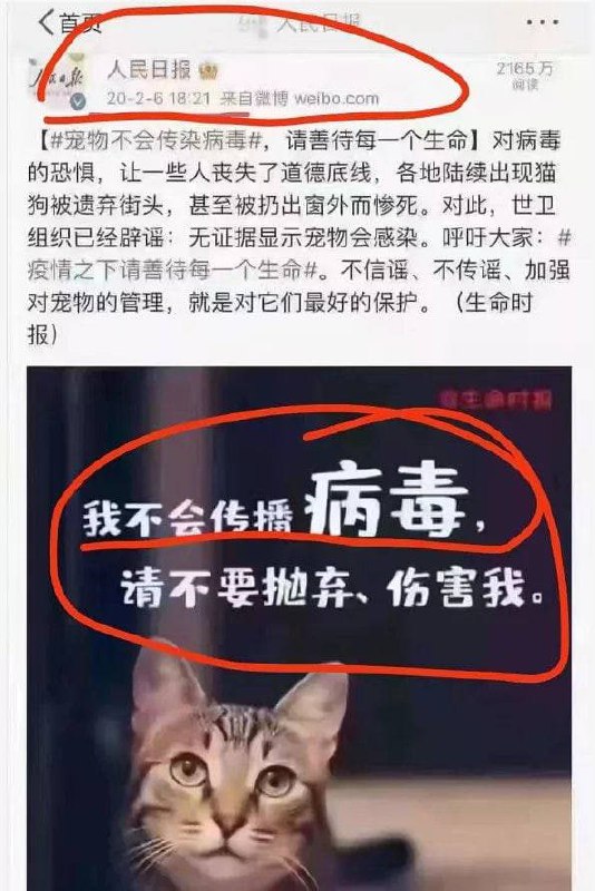 过时无效的历史文件