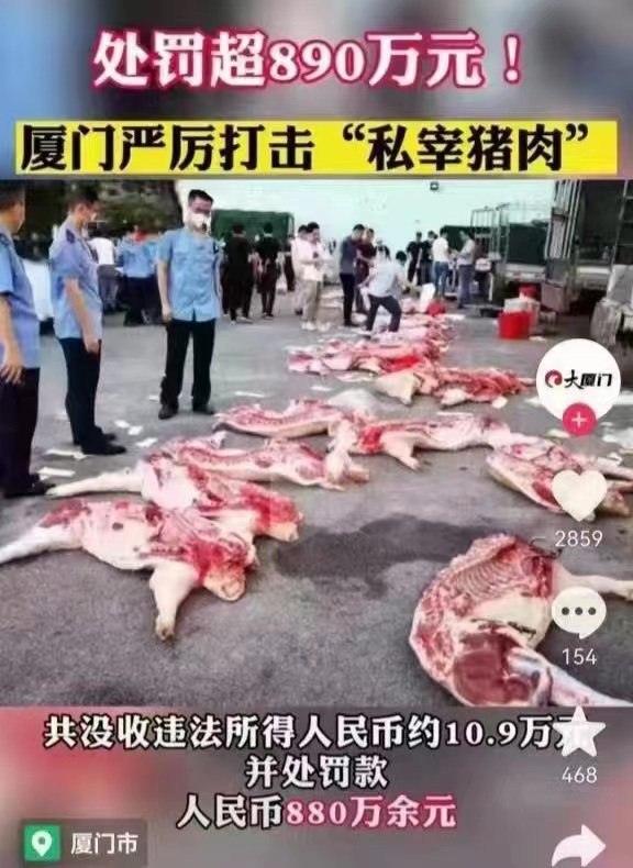 宰自己养的猪被罚款，还敢养猪吗😁By