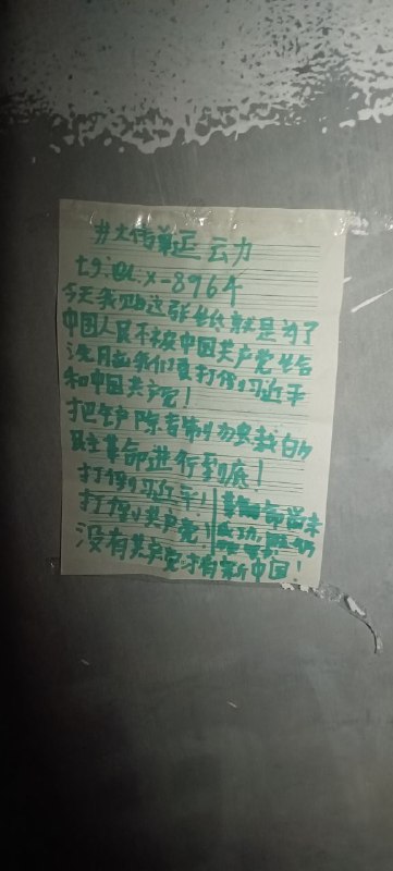 #大传单运动#遍地开