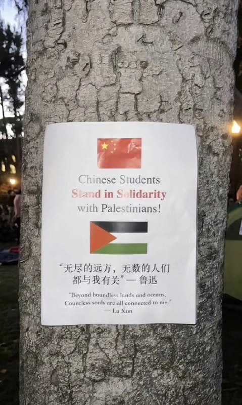 你说的对，但是东突厥斯坦😅By