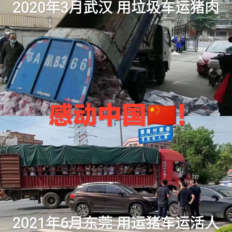 阿中哥哥🇨🇳一年多以来的进步世人有目共睹，让人倍感暖心❤️，我的心里只有感恩😊！