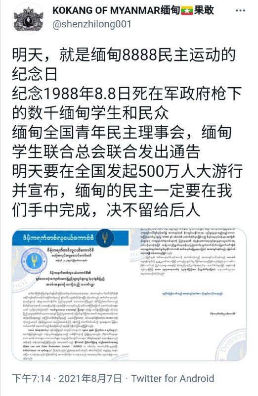 愿民主战胜归来