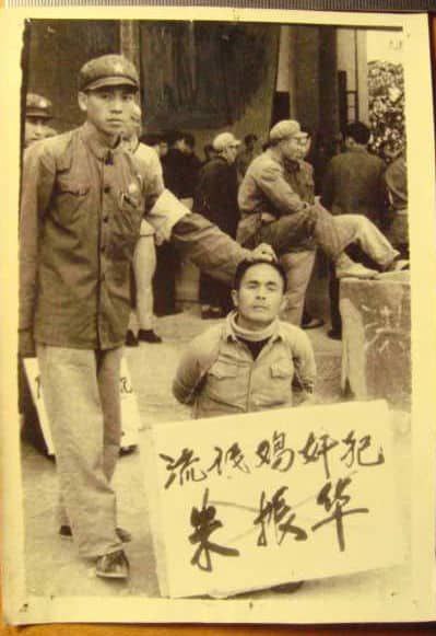 粉红gay的党妈想对他们做的事