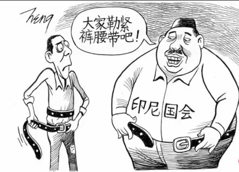 虽然这幅漫画说的是印