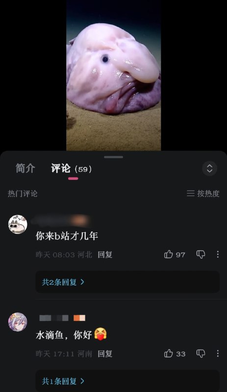 评论区怎么全是小平同