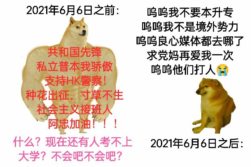 《粉红退化论》