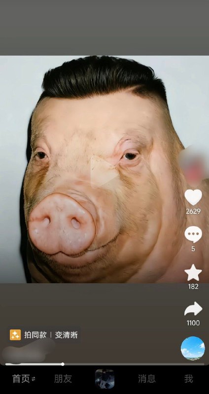这头🐷长相有点熟悉啊！