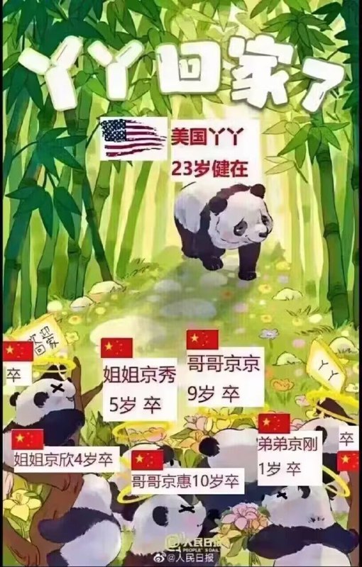 一想到很快就能跟兄弟姐妹们见面并永远团聚,就由衷替牠高兴😊投稿By