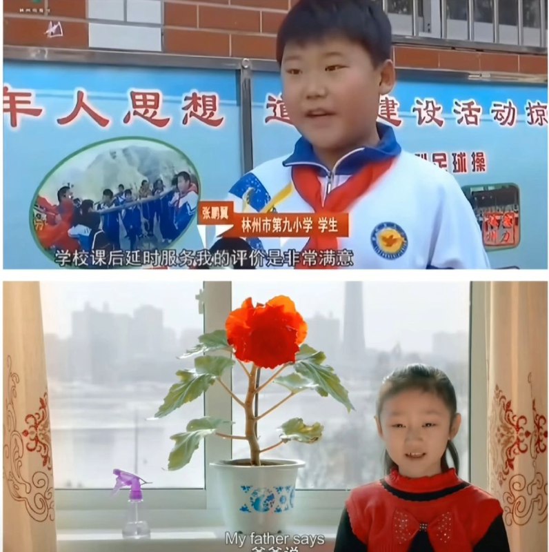 怎么朝鲜开始流行中文了👤 来自