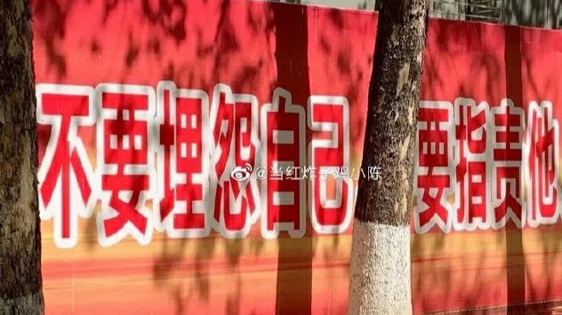 可不敢乱指责😅