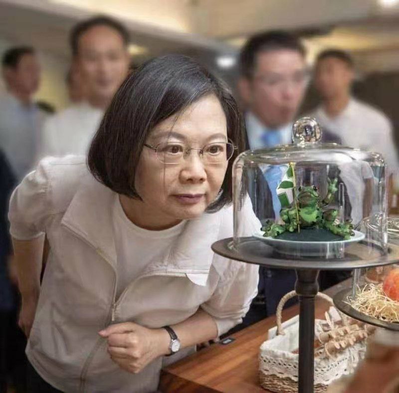 蔡英文总统亲切会见了1450网军代表蛙蛤蛤同志🐸