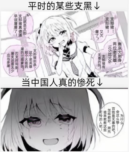 虚假支黑与真正支黑的