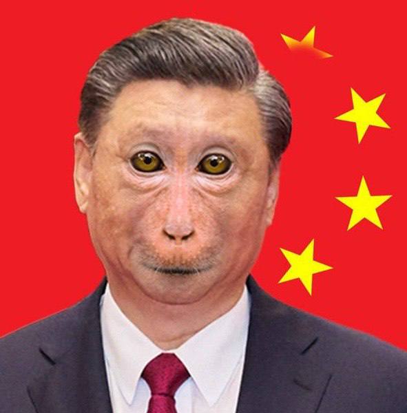 最新包包自拍，太哈人