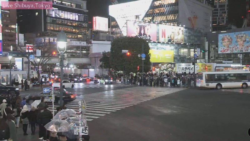 @习近平你还要连任吗?投稿By