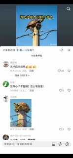 转发：13年了，这老