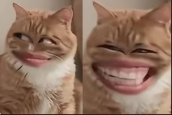 不拿一针一线belike🥺🥺🥺🕶️ 匿名投稿不拿一针一线belike🥺🥺🥺🕶️ 匿名投稿
