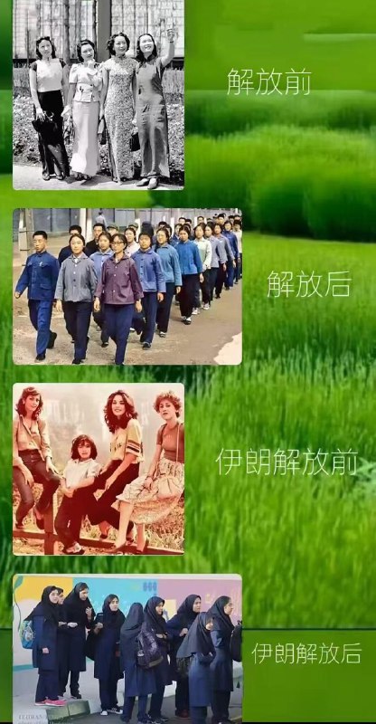 😎 匿名投稿玩过游