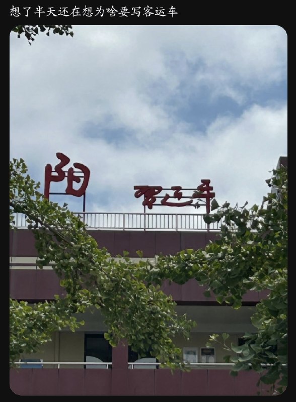 新皮膚