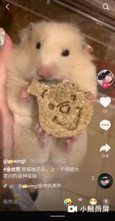 鼠人🐭肢解维尼头🐻